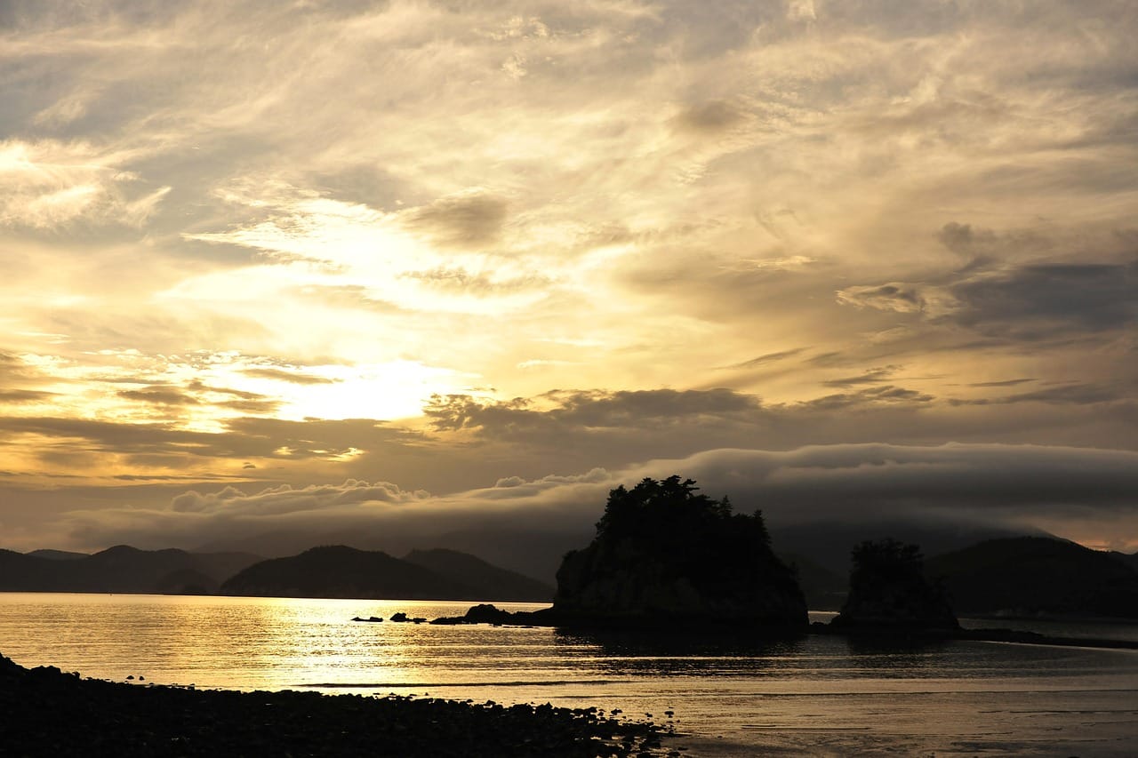 Assessing Bidenomics: Policies, Impact, and Public Perception in 2024